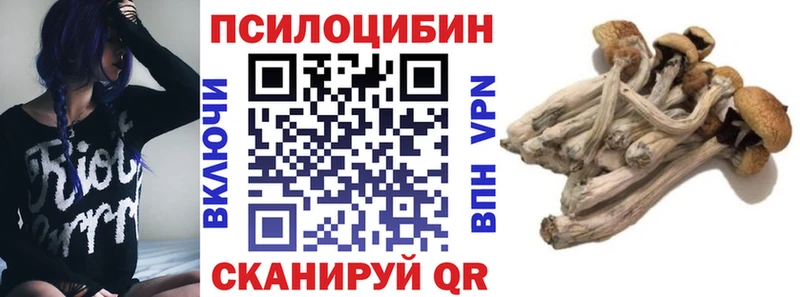 Купить закладки  Йошкар-Ола  Галлюциногенные грибы мицелий 